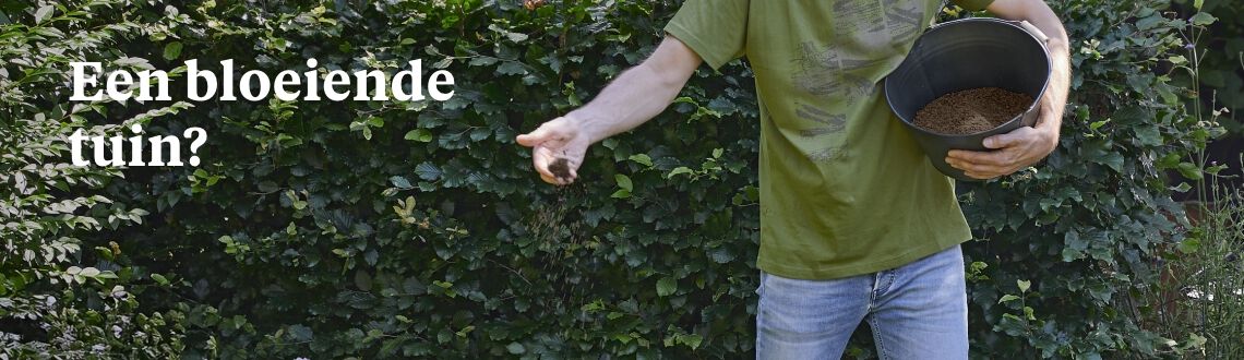 [paste advice page name here]